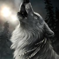 Dmitry Mikhalev's avatar