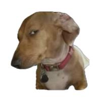 Avatar of doubleprout