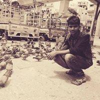 Avatar of Nagarjuna Yadav