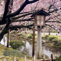 Avatar of " PROFESSOR "