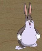 Avatar of Vaseegaran Nandhakumar