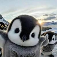 DrawD3clined's avatar