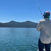 Avatar of dreamybeany