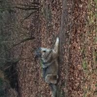 Avatar of DrGruenfeld