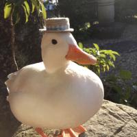 Avatar of DuckDuck31