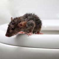 Arkadiusz Babiarz's avatar