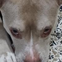 Avatar of Dylan Vivas