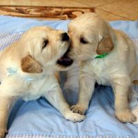 Avatar of Damian Śliwicki