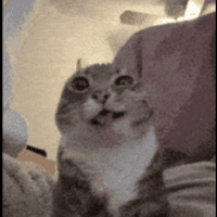 Avatar of Emmett Miller