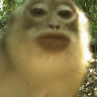 Avatar of eexynn fong