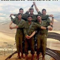 Avatar of בומברדילו קרוקודילו