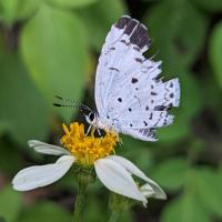 Avatar of Ethan Tang