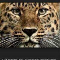 David Erhabor's avatar