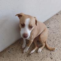 Mike Fellman's avatar