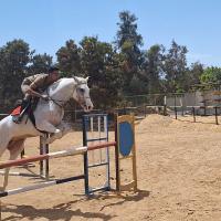 Avatar of Ahmed Elgafary