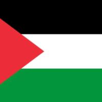 Avatar of Elmansoury1