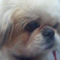 Esteban Horacio Deichmann's avatar