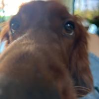 Avatar of Jakub Janeczko