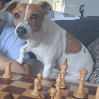 Paul G M Lam's avatar