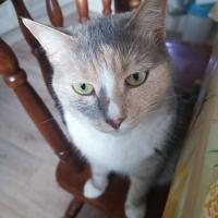 Ilia Fofanov's avatar