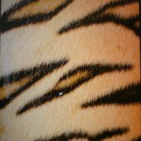 Avatar of fernando ramirez