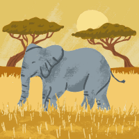 Enrica Zito's avatar