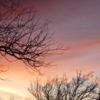 Avatar of epicness77