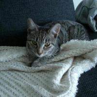 Avatar of Rasmus Skytte