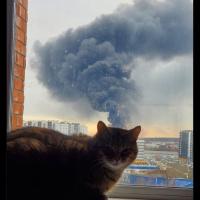 Avatar of 𝓔𝓼𝓵𝓪𝓶 𝓶𝓸𝓱𝓪𝓶𝓮𝓭