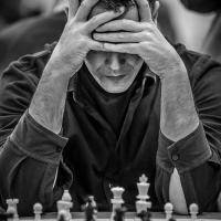 Avatar of Efe Birsin