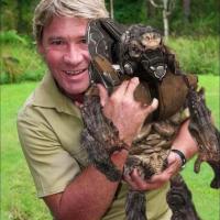 Avatar of Ethangordon69