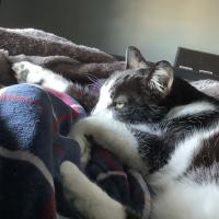 Avatar of Reed Jones