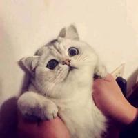 Avatar of Evangeline97