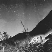 Evan Sammons's avatar