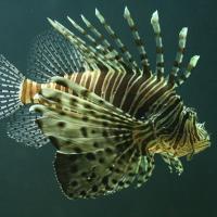 Mitch Fishbein's avatar