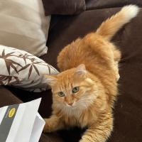 Avatar of יבגני ליבשיץ