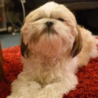 Avatar of Marky Mark