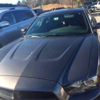 Avatar of Tony Cesolini