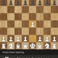 Avatar of Ezra Schmitt