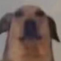 Avatar of Fabricio R.E