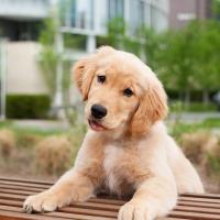 Avatar of Tony Gonzalaz