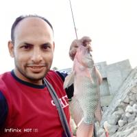 Avatar of Ahmed Mohamed