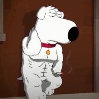 Avatar of Roc Boix Redorta