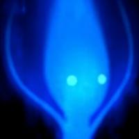 Benedikt Dauner's avatar