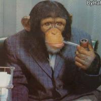 Avatar of fishtavito1379