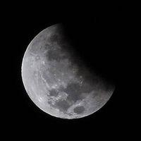 Avatar of Fiyaz_0000