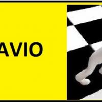 Flavio Gonzales Curse's avatar