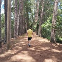 Flávio Bezerra's avatar