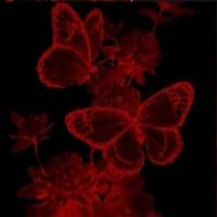 Avatar of Дмитро Білецький