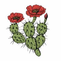 fluffy-cactus-verified's avatar